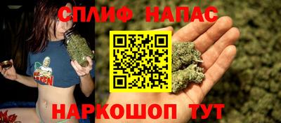 сатива Гуково