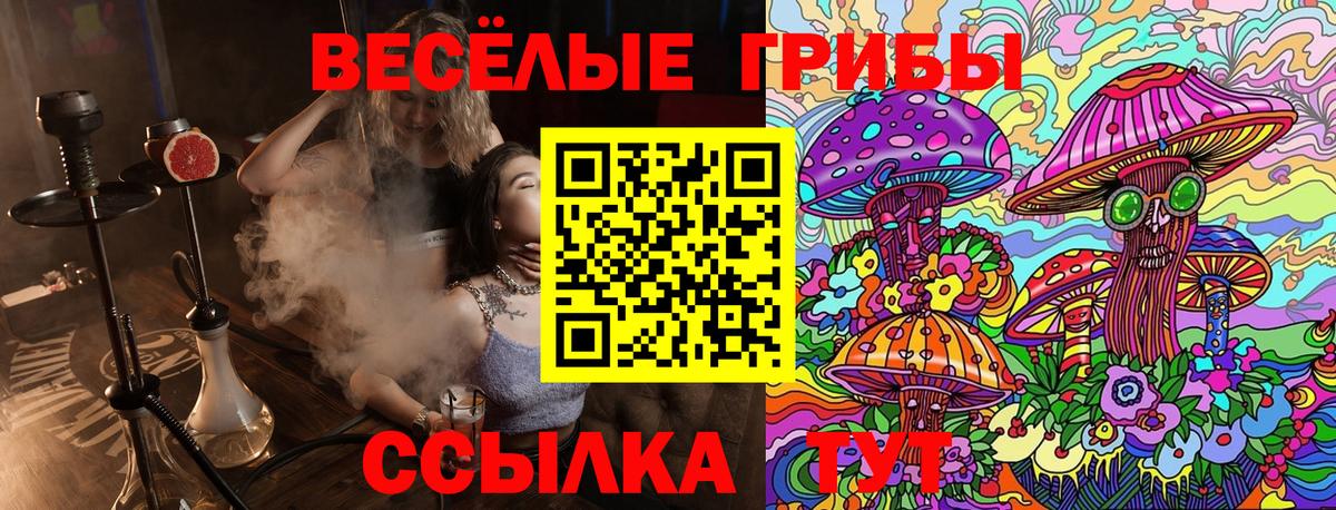 Костомукша  Псилоцибиновые грибы Magic Shrooms  Вход с VPN 