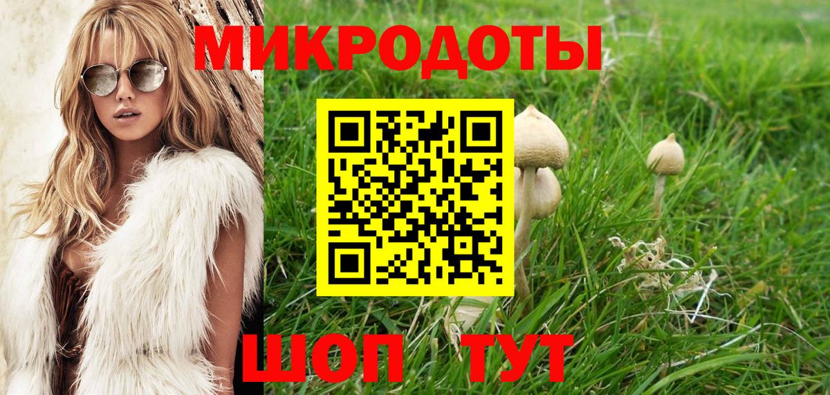 A-PVP Костомукша